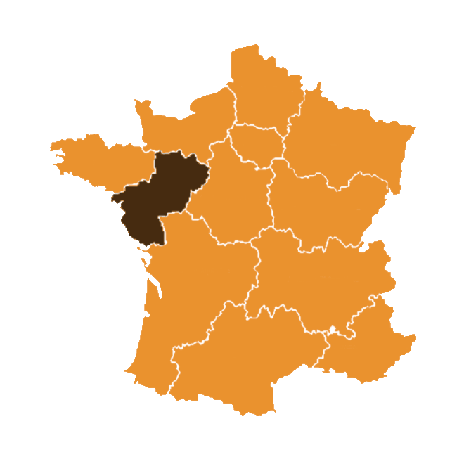 Western Loire